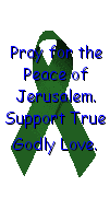 Pray for the Peace of Jerusalem.